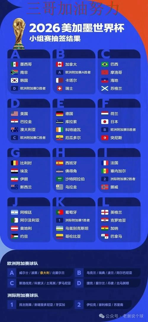 全面分析世界杯买球平台：从稳定性评测到直播观看全流程解析 - 世界杯全球总决赛